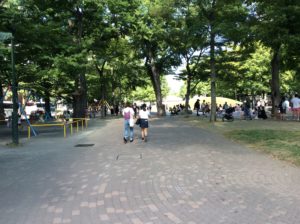 北海道札幌市の大通公園の写真